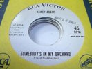 HEAR Popcorn 45 NANCY ADAMS Somebody's in my Orchard o
