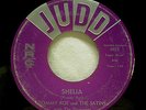 1960 Tommy Roe & The Satins Sheila Judd Rockabilly 45