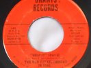 New Establishment in Soul - Whip It - Iowa deep funk 45