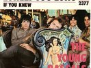 YOUNG RASCALS-PICTURE SLEEVE+45-(LONELY TOO LONG)--PS