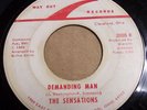 THE SENSATIONS - DEMANDING MAN - PRIVATE SOUL 45 7