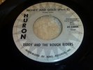 OHIO GARAGE 45/TEDDY AND THE ROUGH RIDERS 