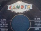 Beach Boys Surfin' Audition Copy Candix 301