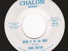 Panic Button - Chalom 101 - Hitch It To The Mule/Lovin'