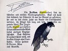 LP / FALCO / AUSTRIA / RARITÄT /