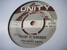 SKA EX UK 45 : HIPPY BOYS : DREAMS TO REMEMBER : UNITY