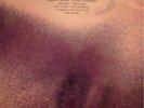 CHET BAKER She Was Too Good To Me LP CTI SIGNED NM-