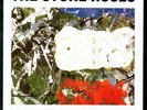 STONE ROSES 7
