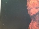 CATHARSIS Samsara - Mint 2 LP Holy Terror vinyl NC