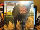 Blink 182 Dude Ranch LP SEALED Brand NEW Hot Topic