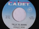 SPOONER'S CROWD: Two In The Morning / I'll Be Your Baby 45 (co, clean) rare So