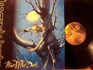 IRON MAIDEN - FEAR OF THE DARK  - TOPZUSTAND - RAR