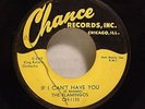 The FLAMINGOS Someday Someway CHANCE 1133 DOO WOP