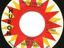 TEDDY & ROUGH RIDERS 45 rare ohio garage surf HEAR