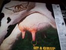 AEROSMITH : GET A GRIP 2LP 1993 GEFFEN NL