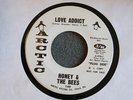TEFTELLER FUNK Honey & the Bees Love Addict Arctic 149