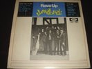 The Yardbirds- Having a Rave Up with- mono-Capital 6000
