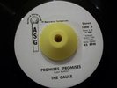 Sweet Soul/Funk 45 THE CAUSE Promises/Hard Times HEAR