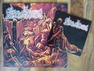 Merciless - The Awakening LP + 7