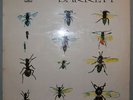 SYD BARRETT LP UK ORIG 1970 LAMINATED FLIPBACK COVER