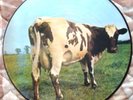 PINK FLOYD ATOM HEART  PICTURE DISC LP V. RARE NEW LTD