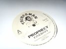 Prophecy - Fabian