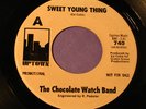 Rare Psych Rock-Chocolate Watch Band-Sweet Young Thing