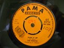 THE TERMITES---PUSH IT UP----1968