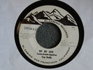 TEFTELLER NORTHERN Troy Dodds Try Me Love Rare One HEAR