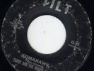 KY Intros Teddy & Rough Riders TILT 778 Tomahawk Hear 