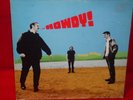 TEENAGE FANCLUB  HOWDY VERY RARE LP CREATION