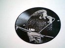 Led Zeppelin- Rare Picture LP Live In Seattle 1973