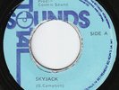 Bongo Gene - Skyjack - ROOTS THUNDER ???