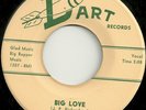 ROCKABILLY 45 by DONNA DAMERON RARE ROCKER ( BIG BOPPER