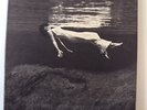BILL EVANS-JIM HALL-UNDERCURRENT LP-NM