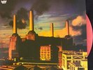 PINK FLOYD ANIMALS LP COLOR VINYL MINT