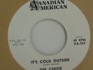 THE CHOIR RASPBERRIES DJ Promo 45 Canadian American 203