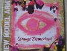 New Model Army - Strange Brotherhood triple album