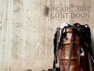 Pearl Jam Lost Dogs Triple Vinyl LP Record Rare Rock