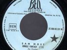 SAM MOST jungle fantasy RARE ORIGINAL FUNK 7