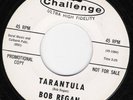 BOB REGAN Tarantula CHALLENGE Surf Rock Instrumental