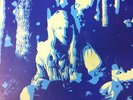 STEVE WARNER LP 1979 RARE OZ ACID FOLK PSYCH - CANDLE