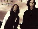 Jimmy Page Robert Plant No Quarter sld lp