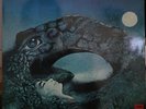 Ralph Lundsten Cosmic Love Swedish Electronic LP HEAR
