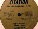 Leprechaun 12