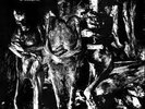 NURSE WITH WOUND Insect and Individual Silenced 1981 LP