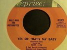 Hale & the Hushabyes Yes Sir that's my baby (blossoms)