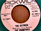 Garage/ Psyche 45..The Primitives..The Ostrich..HEAR