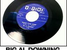 BIG AL DOWNING Please Come Home rockabilly R&b NM- 45