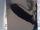 LED ZEPPELIN I 1st press 1969 TURQUOISE...... SUPERHYPE